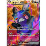 100/081 SR モルペコex