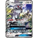 041/049 RR シルヴァディGX