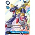 シャンクス(P)(P-051)