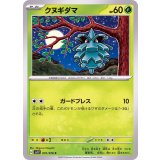 PK-SV1V-001 クヌギダマ C