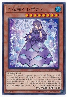 六花精ヘレボラス DBSS-JP020