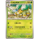 PK-SV5K-004 ハヤシガメ C