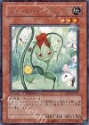 DT04-JP021 R ナチュル・ローズウィップ
