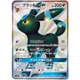 PK-SM8B-229 ブラッキーGX SSR