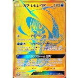 PK-SM8B-245 カプ・レヒレGX UR