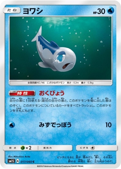 PK-SM1S-017 ヨワシ C