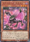 ロクスローズ・ドラゴン LIOV-JP009