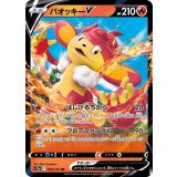 020/172 RR バオッキーV