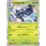 PK-SV1a-010 エクスレッグ R
