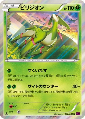PK-XY7-012 ビリジオン R