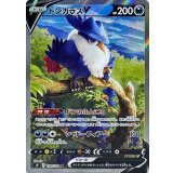 109/100 SR ドンカラスV
