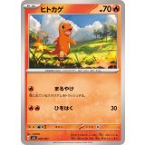 PK-SVJL-001 ヒトカゲ
