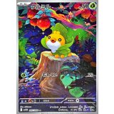 087/086 AR クルミル