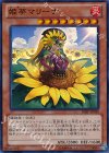 姫葵マリーナ SHSP-JP040