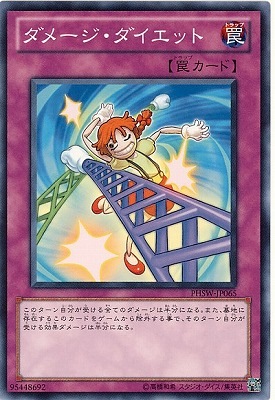 ダメージ・ダイエット PHSW-JP065