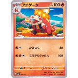 PK-SVAL-003 アチゲータ