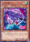 八汰烏 BE02-JP143