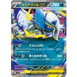 038/063 RR メガアブソルex