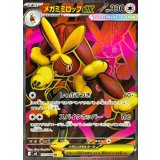 100/080 SR メガミミロップex
