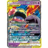 029/095 RR ベトベトン＆アローラベトベトンGX