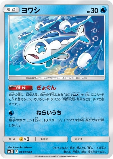 PK-SM2L-013 ヨワシ C