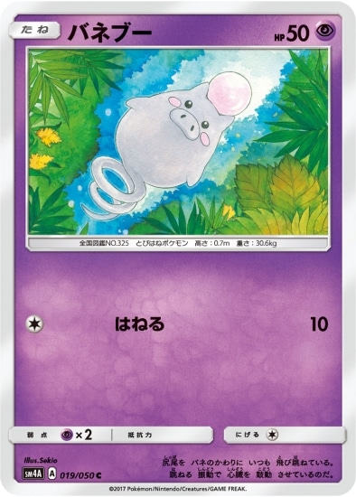 PK-SM4A-019 バネブー C