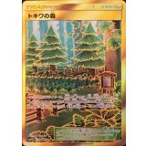 PK-SM10b-068 トキワの森 UR