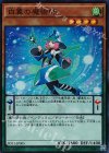 白翼の魔術師 [SD31-JP005]
