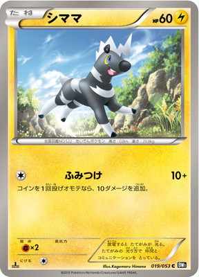 PK-BW01B-019 シママ C