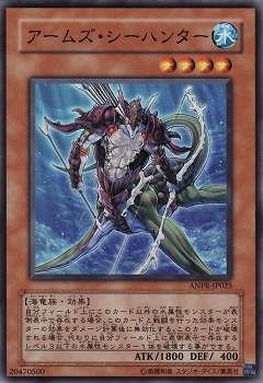 アームズ・シーハンター ANPR-JP025