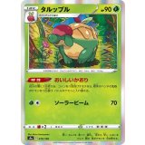 PK-S4a-019 タルップル