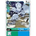 パンジャモンX抗体 BT9-051