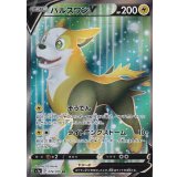 074/070 SR パルスワンV