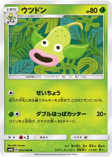 PK-SM6B-002 ウツドン U