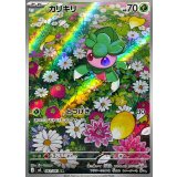 082/081 AR カリキリ