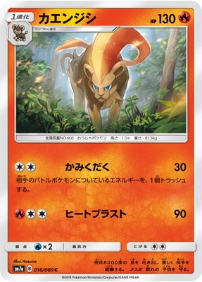 PK-SM7A-016 カエンジシ C
