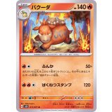 PK-SV2D-011 バクーダ U