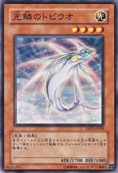 光鱗のトビウオ EXP1-JP029