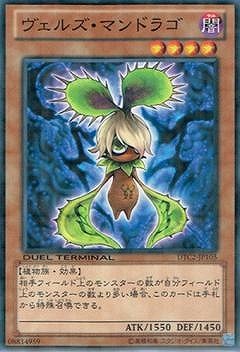 第8期/DTC2-JP105 ヴェルズ・マンドラゴ