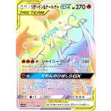 PK-SM11a-075 リザードン&テールナーGX HR