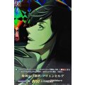 勝利への選択 ブリュンヒルデ D-TTD05/RGR03