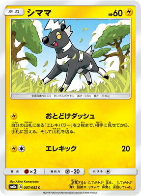PK-SM8A-007 シママ C