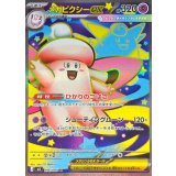 096/080 SR メガピクシーex