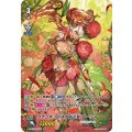 ■ラナンキュラスの花乙女 アーシャ V-EB14/SP22