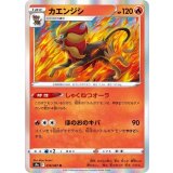PK-S9a-016 カエンジシ R