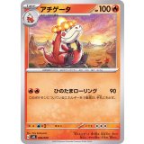 PK-SVEL-006 アチゲータ