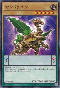マンドラゴン DF16-JP003