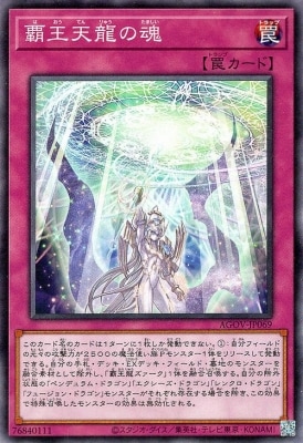 覇王天龍の魂 AGOV-JP069
