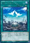 SECE-JP054 R RR-ネスト