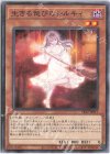 生きる偲びのシルキィ SR12-JP017
